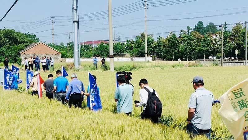 520健康植保日——擁抱綠色農(nóng)業(yè)，我們在行動