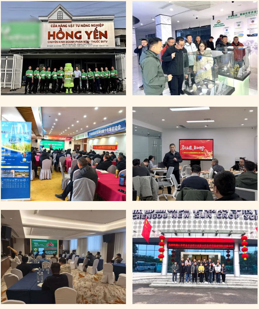 快馬加鞭戰春耕,馬年奮進正當時